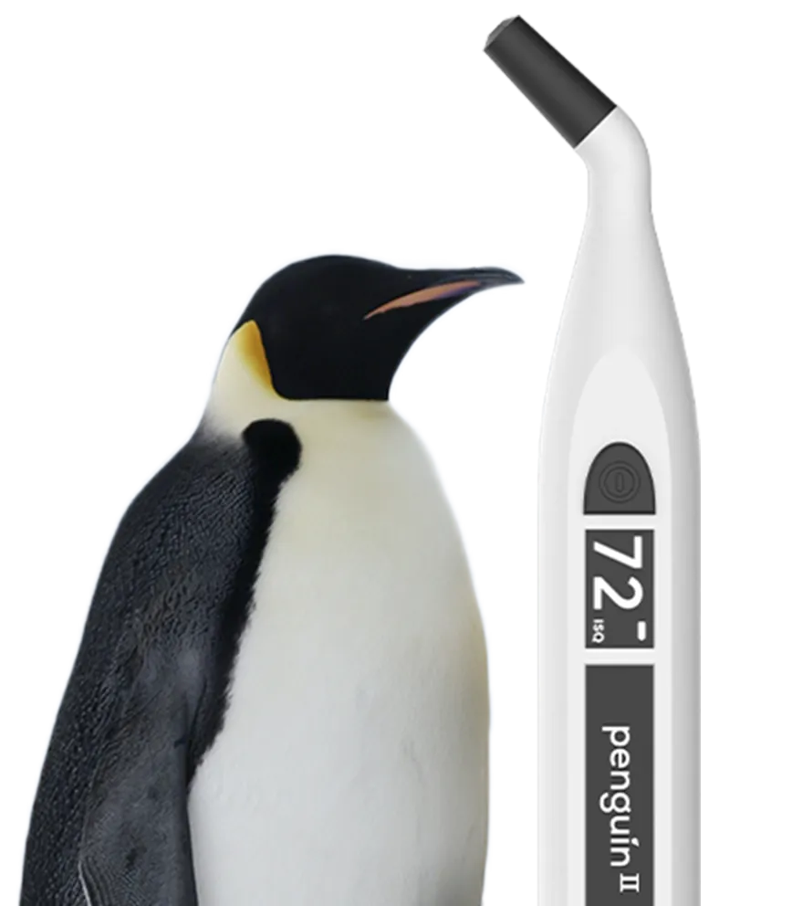 Penguin next to a taller Penguin II image
